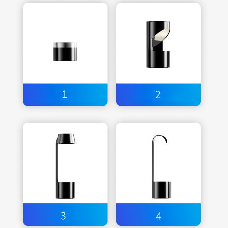 KAMERA INSPEKCYJNA DUAL NF208 KAMERA INSPEKCYJNA DUAL NF208