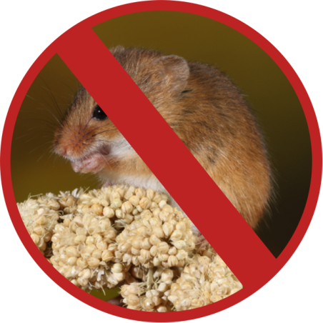 ODSTRASZACZ GRYZONI I SZKODNIKÓW LS-927MB ODSTRASZACZ GRYZONI I SZKODNIKÓW LS-927MB