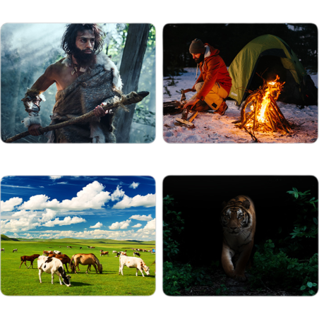 NOKTOWIZOR NP600 NOKTOWIZOR NP600