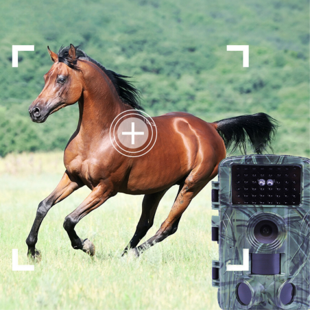 FOTOPUŁAPKA SN5020 FOTOPUŁAPKA SN5020